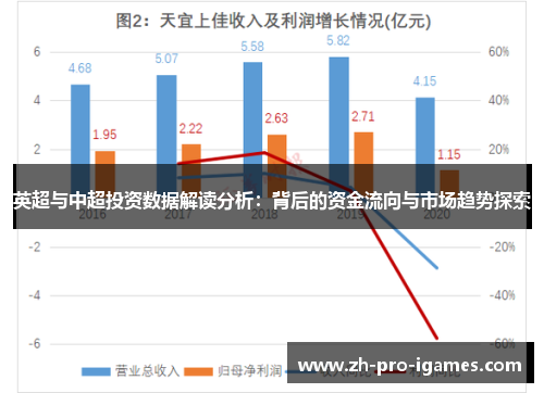 英超与中超投资数据解读分析:背后的资金流向与市场趋势探索 英超与中超投资数据解读分析:背后的资金流向与市场趋势探索