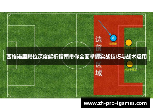 西格诺里踢位深度解析指南带你全面掌握实战技巧与战术运用